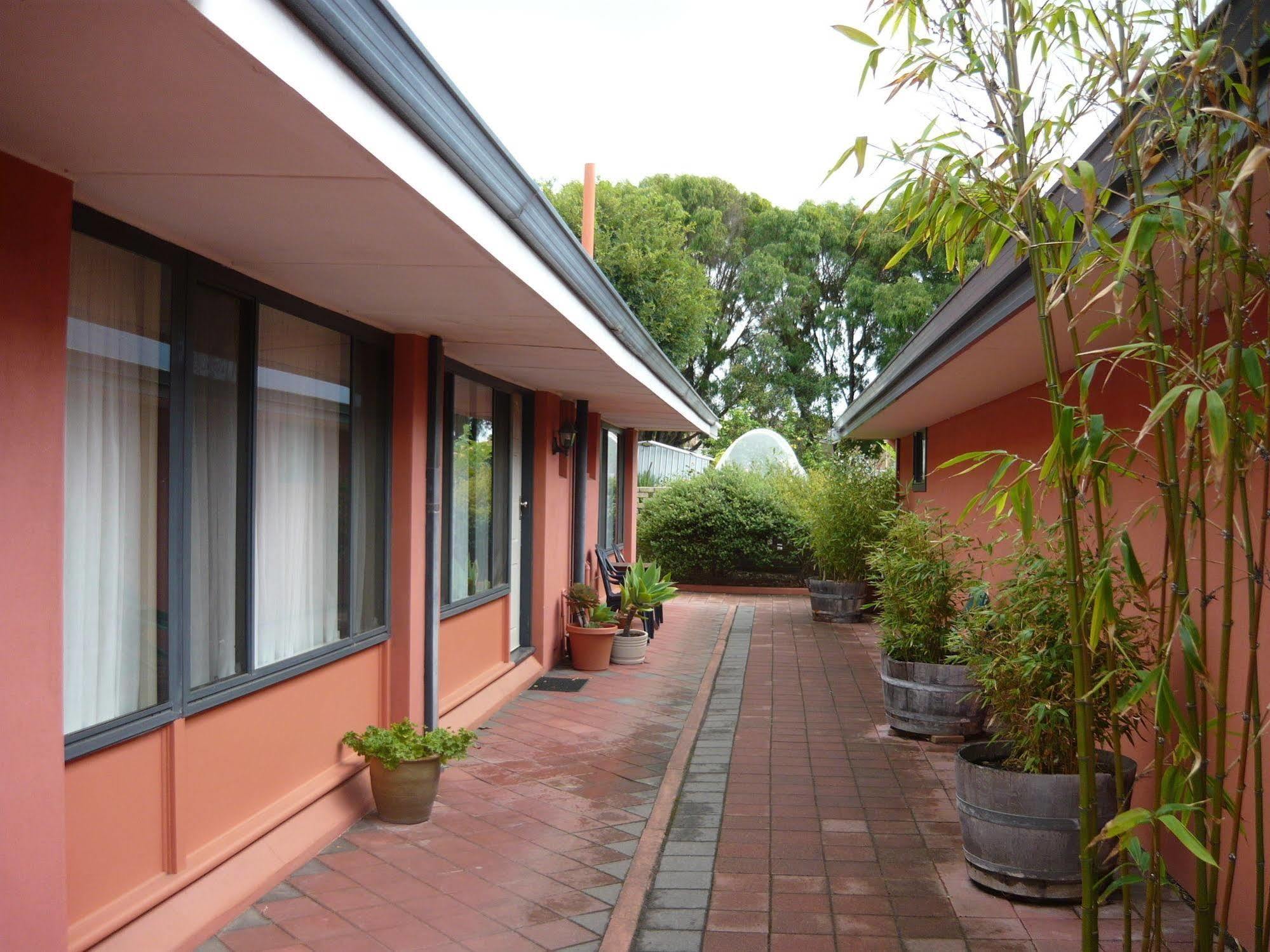 Albany Apartments Zewnętrze zdjęcie